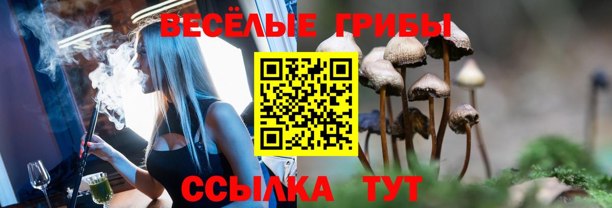 Галлюциногенные грибы Psilocybine cubensis Златоуст